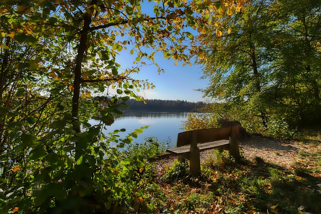 快船好起来了？Haynes：伦纳德将在周一对阵骑士的比赛中复出