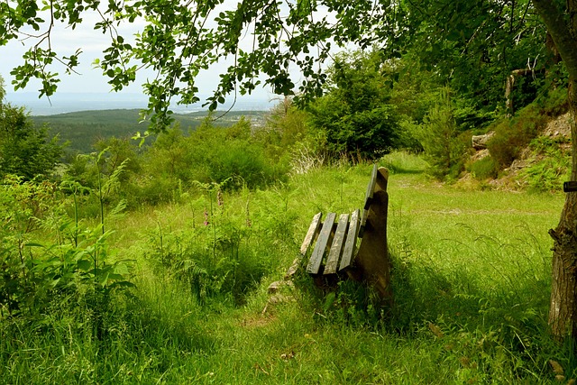 并列队史乌拉圭球员最多！巴尔韦德代表皇马出场227场比赛